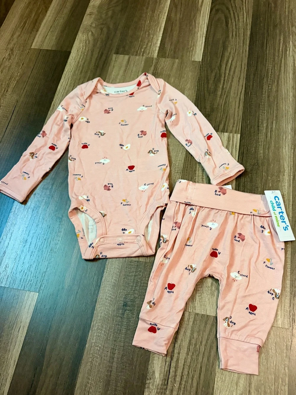 Carters Outfit NWT